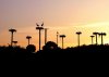 Cigüeñas en el Monumento Natural Los Barruecos (Extremadura, España).jpg