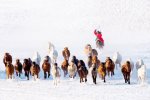 Imagen invernal de Mongolia. Zay Yar Lin-AGORA images.jpg