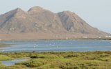 Salinas-de-Cabo-de-Gata-1024x642.jpg