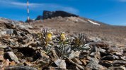 Vuelta-Ciclista-sostenible-Sierra-Nevada_1688541474_159494354_1200x675 (1).jpg