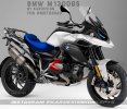 BMW_M1300GS-2.jpg