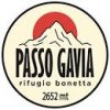 gavia.jpg