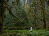 Olympic National Park, Washington.jpg