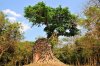 sambor-prei-kuk-temple-cambodia.jpg