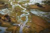 okavango-delta-elephants-aerial-botswana4.jpg